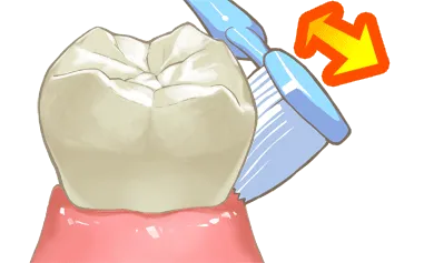 バス法